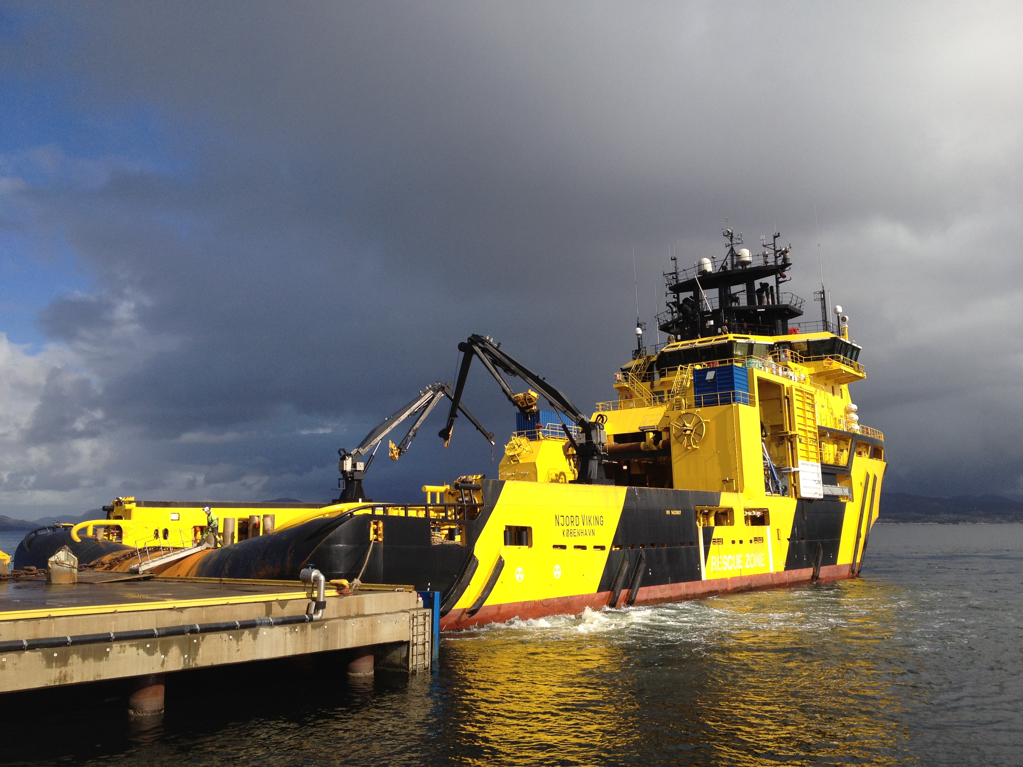 Njord Viking